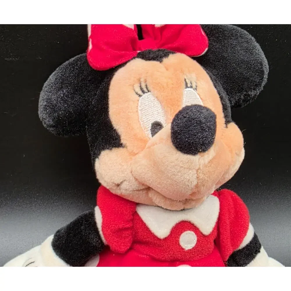Walt Disney World fibers very